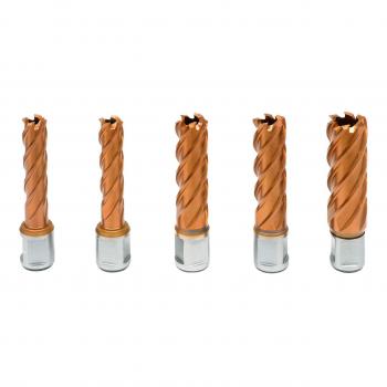 Svedri HSS-Vario PLUS KBL, fi 14 /18 /22 mm, weldon19   